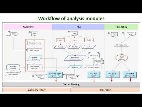 PharmVIP: a one-stop platform for pharmacogenomic variant analysis and interpretation.