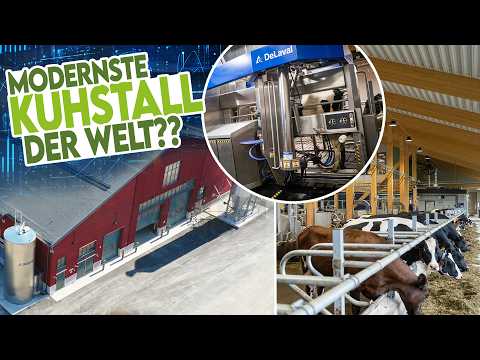 🐄 Exklusiver Einblick in den neuen Hamra Stall von DeLaval: Alles Automatisiert!!