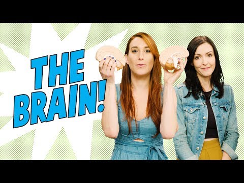 Being Bilingual Makes You Smarter? - Joanna Rants feat. Brain Craft