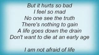 Ramones - I&#39;m Not Afraid Of Life Lyrics