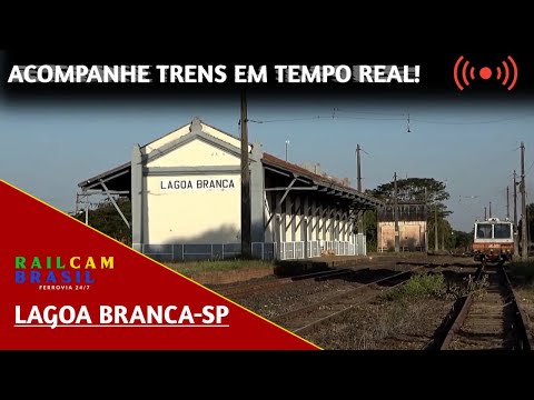 TRENS AO VIVO EM LAGOA BRANCA, CASA BRANCA, SP BRASIL