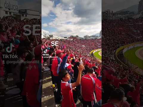 "Club Deportivo El Nacional y su hinchada " Barra: Marea Roja &bull; Club: El Nacional