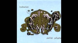 Livehuman - Elephants' Bliss