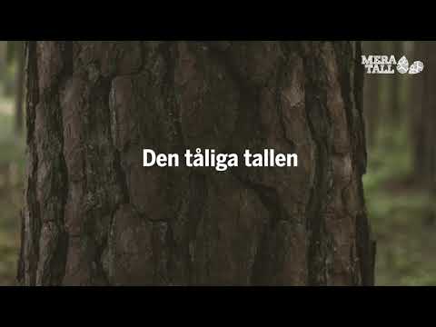 Mera tall - Tallens fördelar (2)