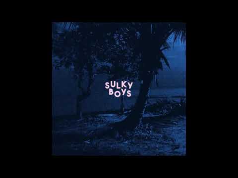 Sulky Boy - Shasta Fay