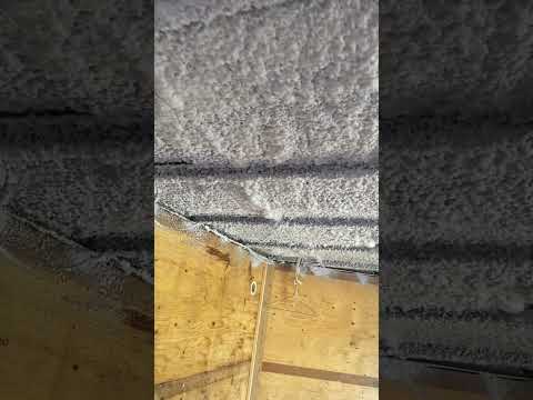 Kraken spray foam kit