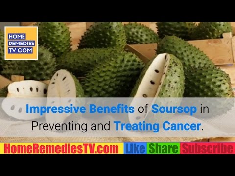 Impressive Benefits Of Soursop Fruit In Preventing And Treating Cancer