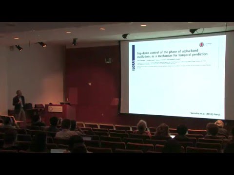 Brad Postle, Ph.D. : Cognitive Neuroscience of Visual Attention and Working Memory