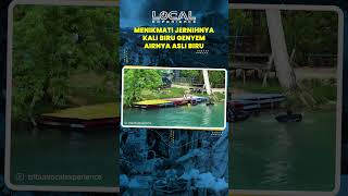 Cantiknya Kali Biru Genyem yang Jernih, Airnya Benar-Benar Biru