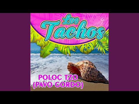 Poloc Tzo (Pavo Gordo)