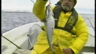 preview picture of video 'Top Adventures - Part IV - Fishingland North Cape'