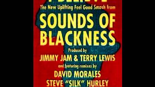 Sounds Of Blackness - I Believe (Principle Faith Mix)[ Jamie Principle, Silk & The Soul Crew]