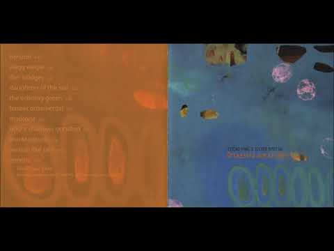 Eyvind Kang & Tucker Martine -  Dim Bridges (Orchestra Dim Bridges, 2004)