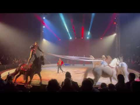 Spindler Family - Hungarian Post / Trierer Weihnachtscircus 2025/26