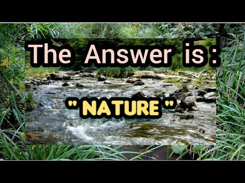 Healing Sounds of Nature/Nature sounds/ River Sounds/ Birds Sounds  Study, Sleep, Relax Music/ Water