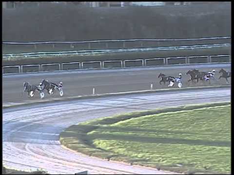 Trotto 27/01/2015 - 4° Corsa