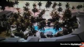 Disaster movie spectacular 4 (4/6) Hamster Dance Kidz Bop