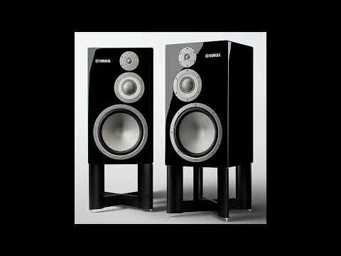 Ann Bell Fell feat . Petrus  – I Feel It Coming 1996  Euro Dance