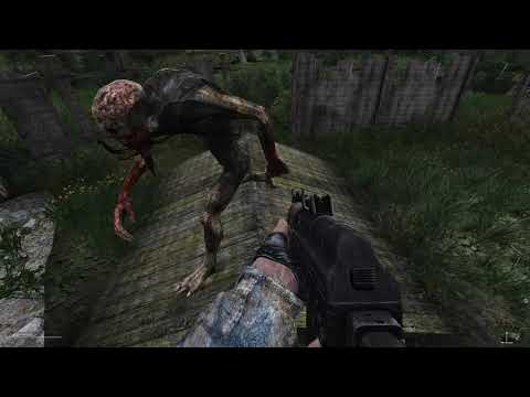 Why I love stalker #37
