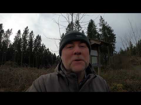 Stempelstelle 118 Kästehaus - Harzer Wandernadel