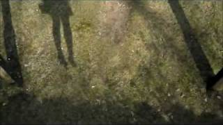 die sterne was hat dich bloß so ruiniert