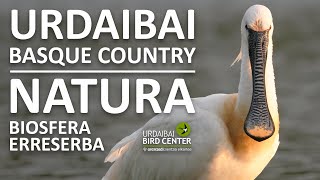 🔴 URDAIBAI Basque Country Wildlife Cam en DIRECTO🔴 Zuzenean · Live! EUSKADI · Pais Vasco live webcam
