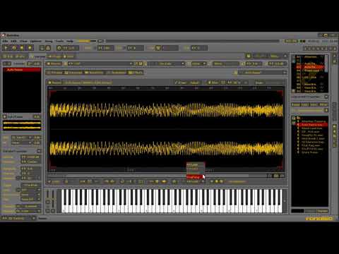 Medonist - Speedcomp 39 [10 samples / 30 minutes] Renoise 3.1 - samples by Drainbamage
