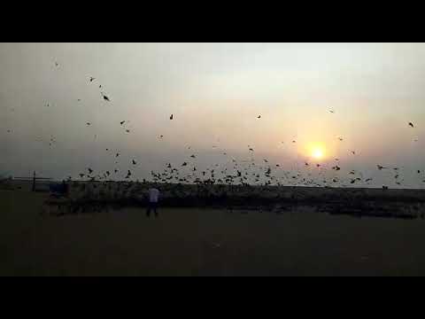 Marina beach, Chennai