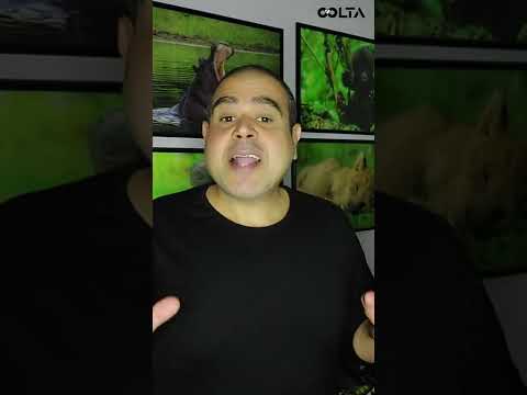 أسماء مصر فيديو لـ جون دانيال  John Daniel