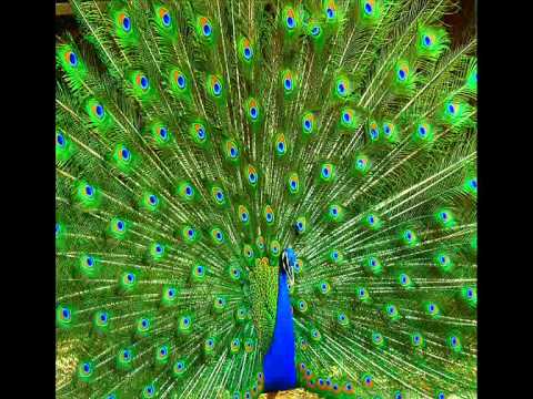 NEW minimal techno mix 2011 JANUARY