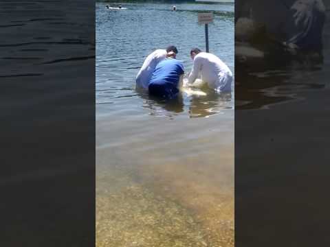 La Botez❤❤❤❤