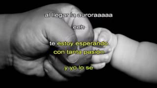 Verte nacer-Noel Schajris