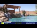 Dan Wilson   Blue Tropical Pools   30