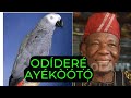 Iforowero pelu Oloye Tunbosun Oladapo [Odidere Ayekooto] #Ayekooto #Tunbosunoladapo #Akewi Odidere