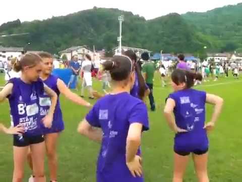 Alpavolley 2011   Pallavolo Susegana