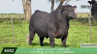 2 Toro PC - Gregorio Aberasturi - Plaza Ganadera