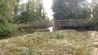 preview picture of video 'Figheldean Mill Pond in Wiltshire'