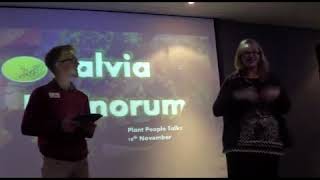 Salvia Divinorum - navigating Salvia space using dream yoga