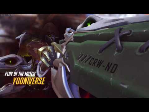 Overwatch - Frozen Blossom