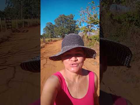 Caminhada sertaneja Comunidade Santa Rita município Vianópolis Goiás Brasil