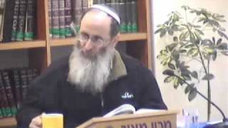 15220-4 צריך לבטל את האבילות הזו, יוהרה בהלכה