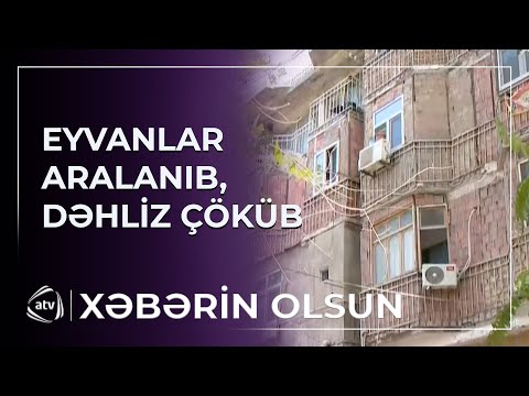 Sakinlər narahatdılar