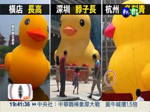 黃色小鴨遊大陸? 高矮胖瘦攏係假