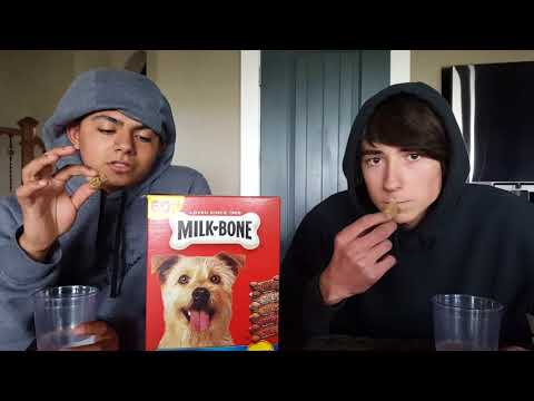 Milkbone flavor snacks review