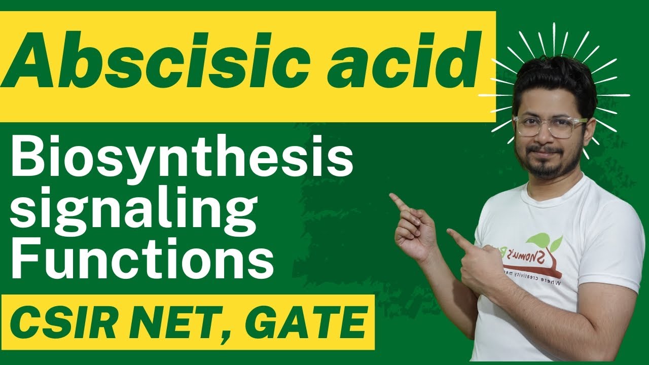 Abscisic acid biosynthesis and abscisic acid function
