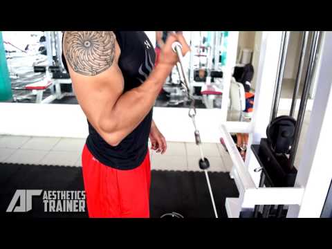 ONE ARM CABLE BICEPS CURL