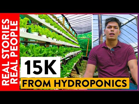 How This 21-Year-Old Started Hydroponics Farming With Only 1k Capital | Real Stories Real People |OG