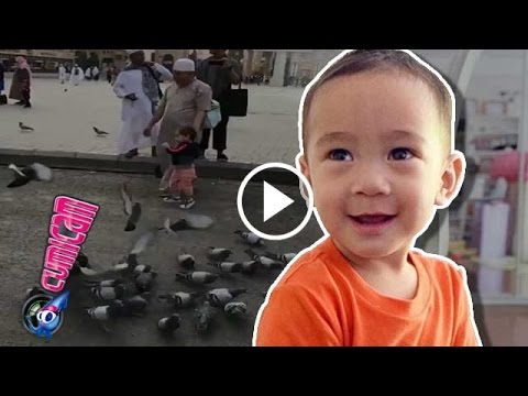 Keceriaan Rafathar di Tanah Suci - Cumicam 22 Februari 2017