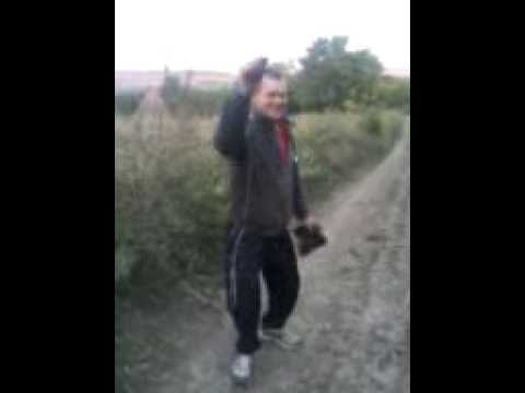 dansul lui zonel de la hlipiceni