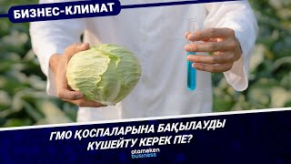 ГМО қоспаларына бақылауды күшейту керек пе?